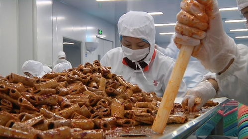 揭秘零食工廠 走進良品鋪子荊州生產基地，見證美味誕生之旅